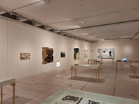 Museu Provincial de Pontevedra